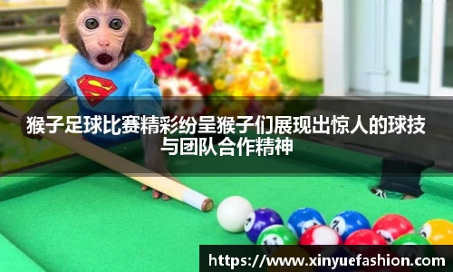 猴子足球比赛精彩纷呈猴子们展现出惊人的球技与团队合作精神