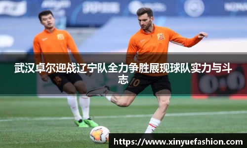 球速体育平台登录入口